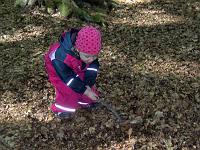 (17 von 243) : KIGA Hausen Waldwoche